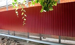�����: ��������������� ����� �� ����������� � ������ ������� �����