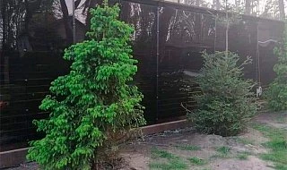 �����: ����� �� ������������� ����������