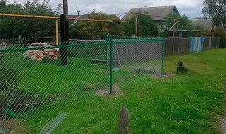 �����: ����� �� �����-������ ������� ��� ������� ����